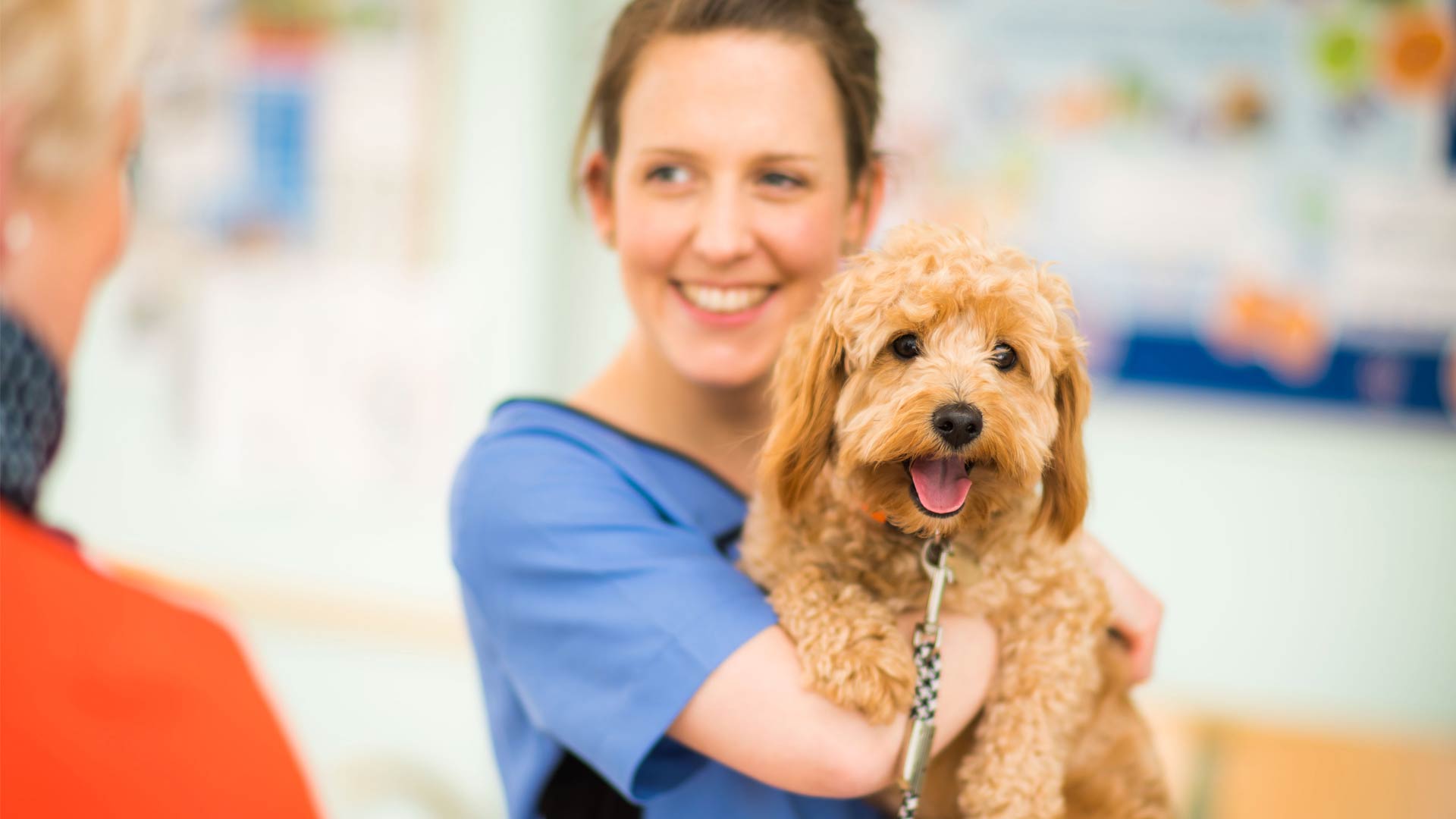Pet Health Screening is in trends by preventive healthcare and growing awareness among pet owners