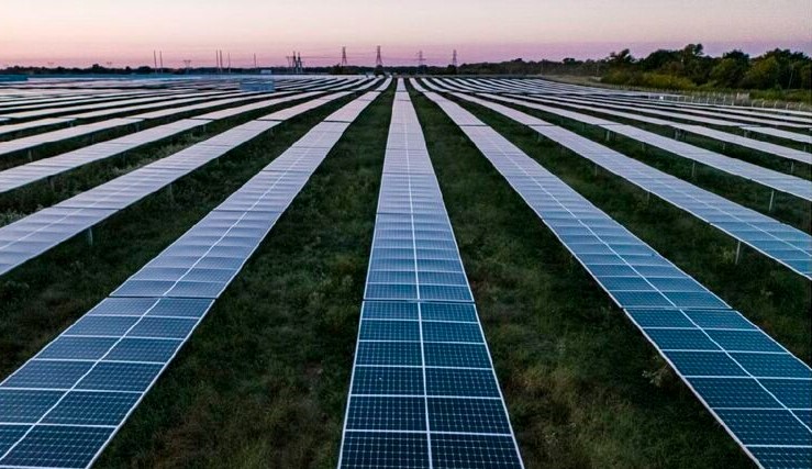 United States Agrivoltaics Market: How Solar-Powered Farming is Revolutionizing Agriculture