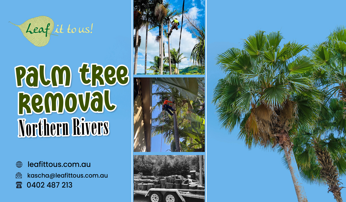 How Professionals Protect The Property With Palm Tree Removal?-Let’s Explore