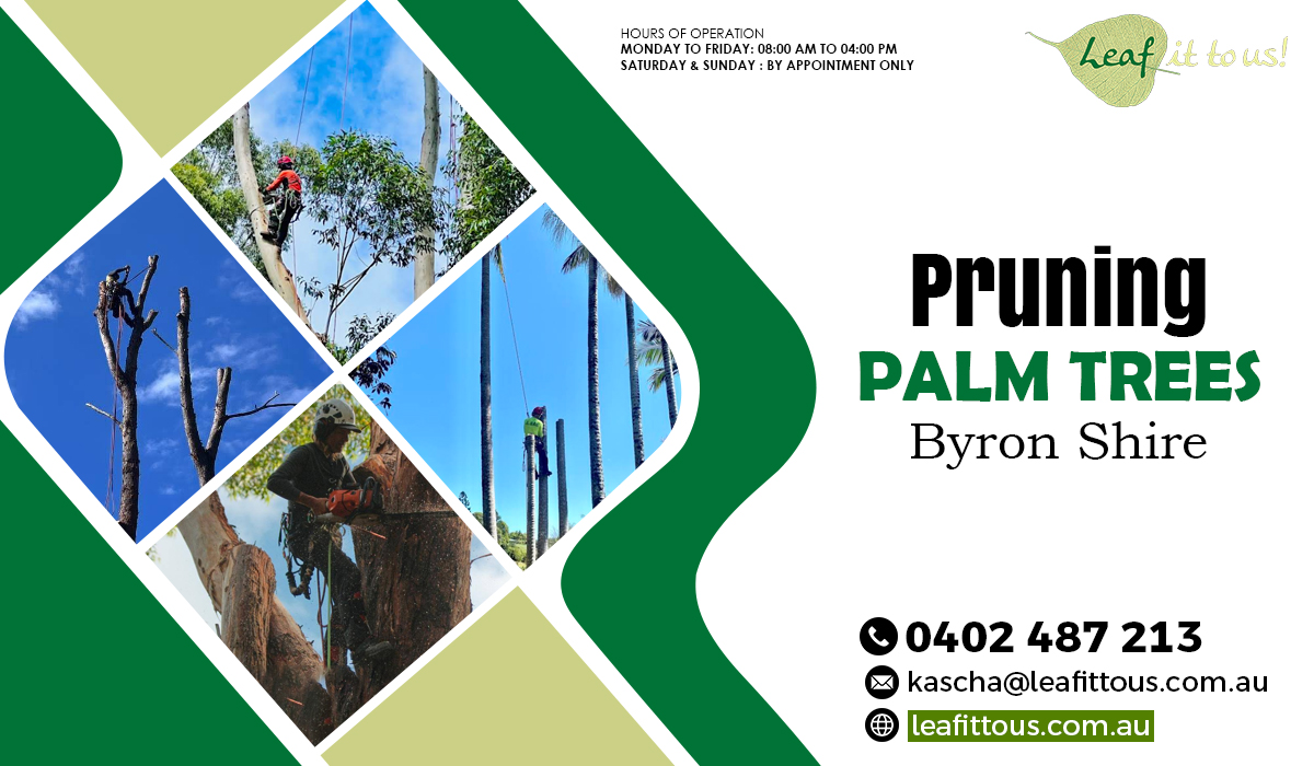 Palm Tree Pruning: Should The Leaves Be Cut When They Are Dry Or When They Are Green?