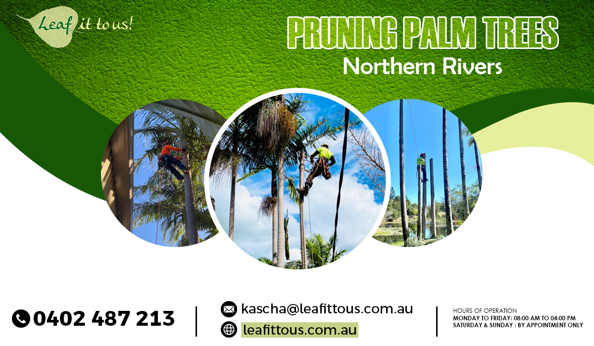 Benefits of Hiring an Expert for Pruning