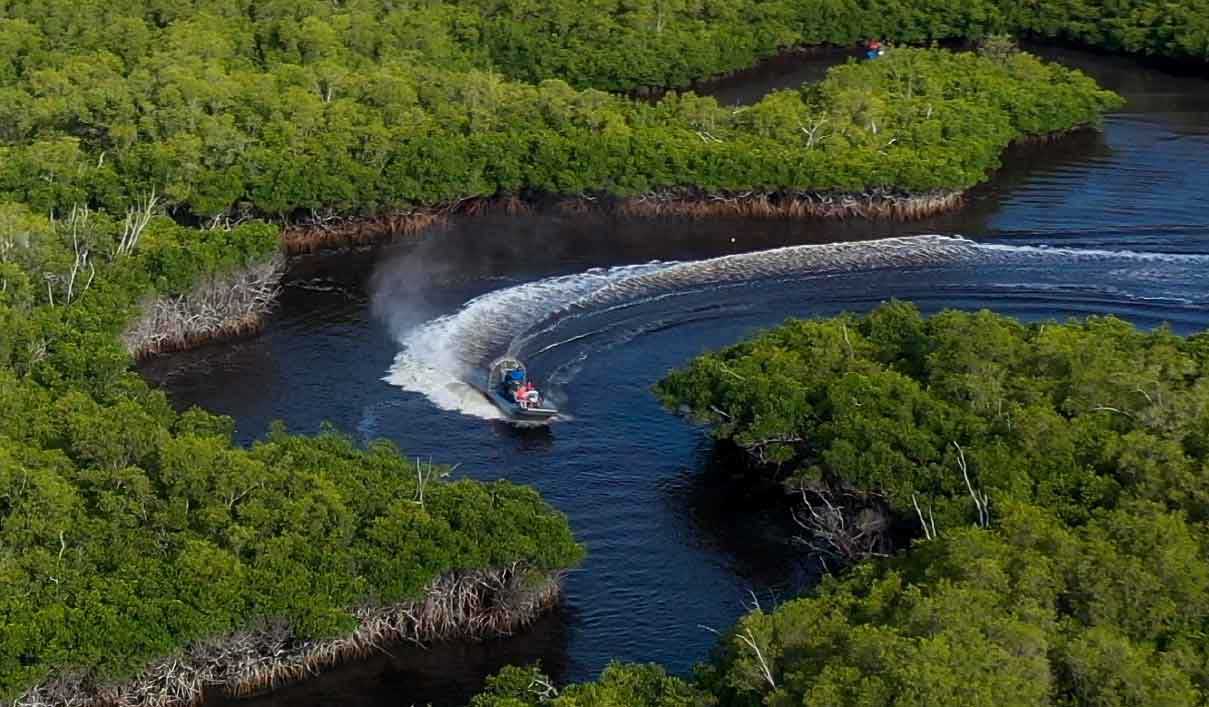 Everglades Tour