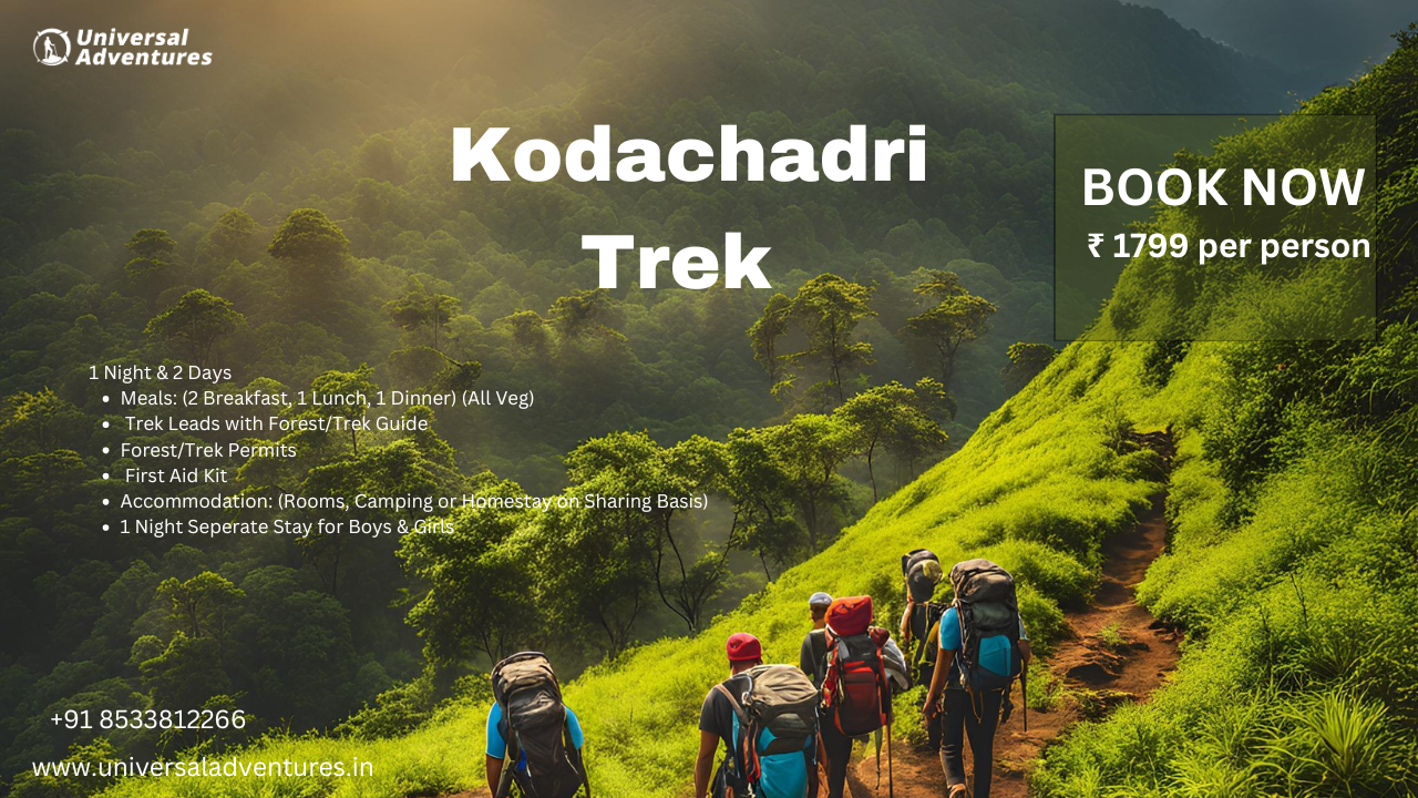 Trek to Kodachadri Peak With These Top 5 Trekking Tips