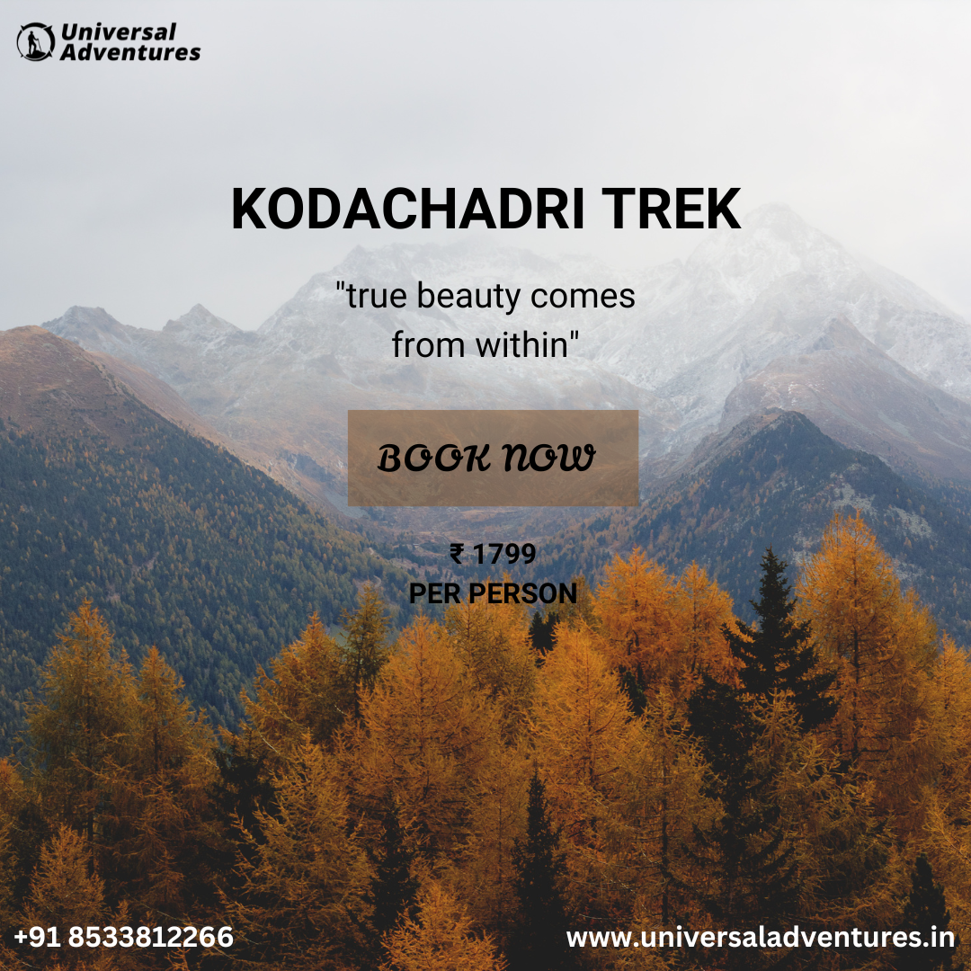Kodachadri Trek Package: A Magnificent Journey at the Best Price!
