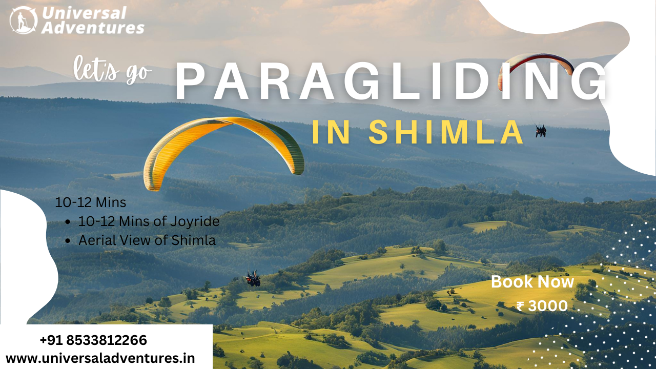 Shimla Paragliding: Price Would Never Be A Problem!
