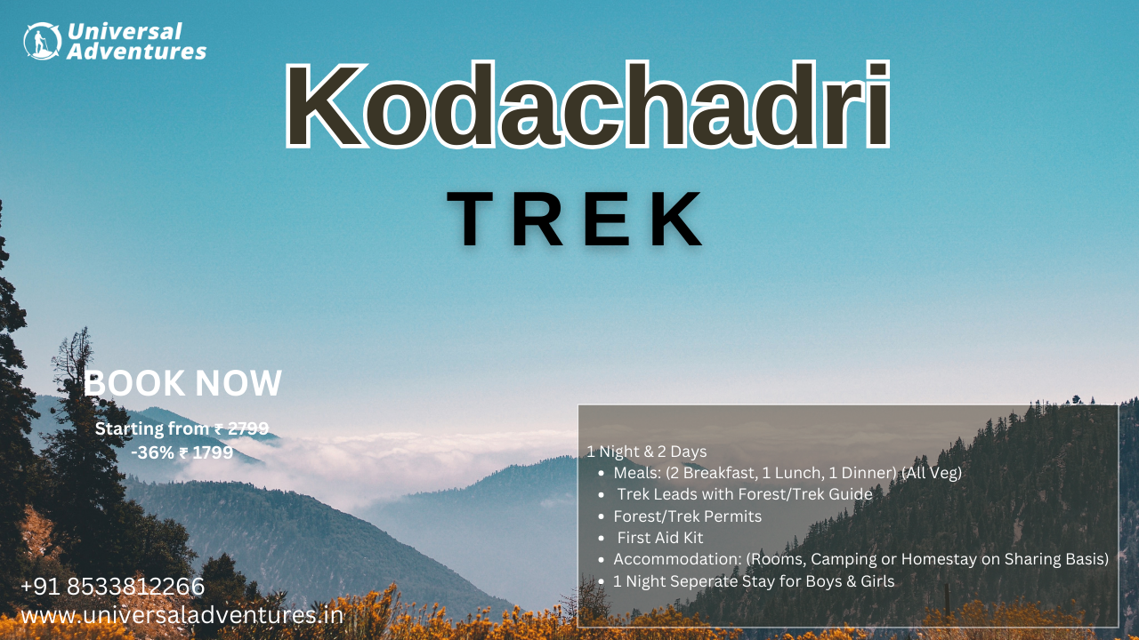 Kodachadri Trek: Take the 24-KM Challenge!