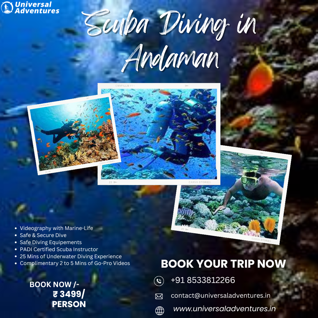 Scuba Diving in Neil Island: Unbeatable Prices!