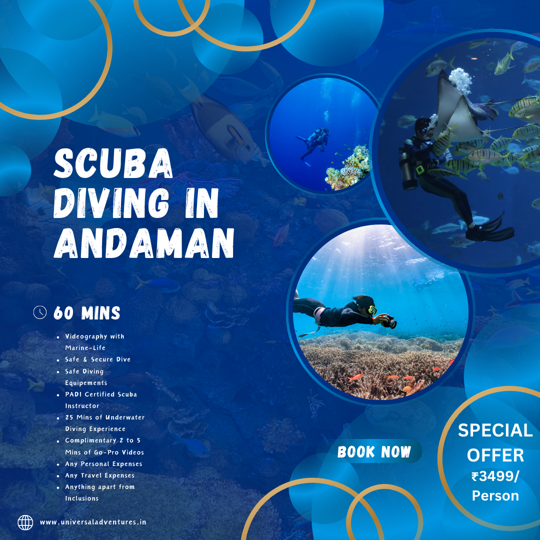 The Best Time To Go Scuba Diving in Andaman Islands!