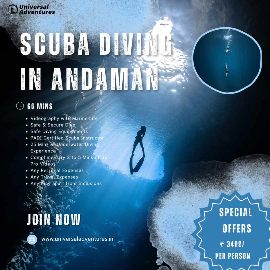 Scuba Diving in Neil Island: Plunge into a World Untold!