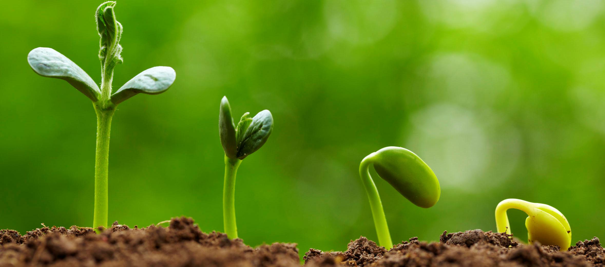 Experienced Digital Marketing Services Company