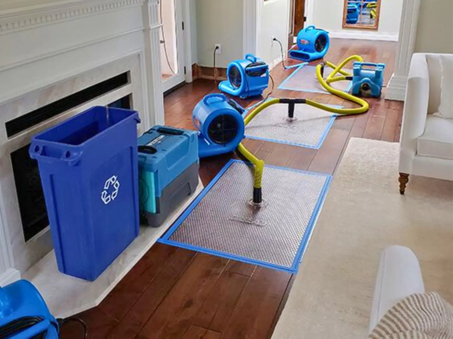 How to Choose the Best Water Damage Restoration Experts in Vancouver