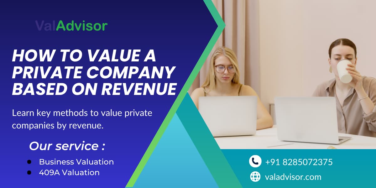 How to Value a Private Company Based on Revenue | Business Insights 