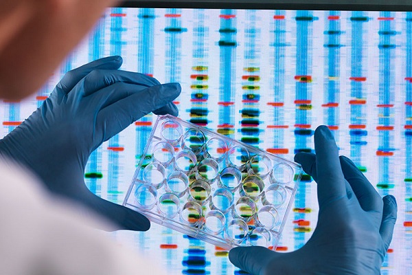 Ancestry DNA Expands Its Genealogists Staff And Office