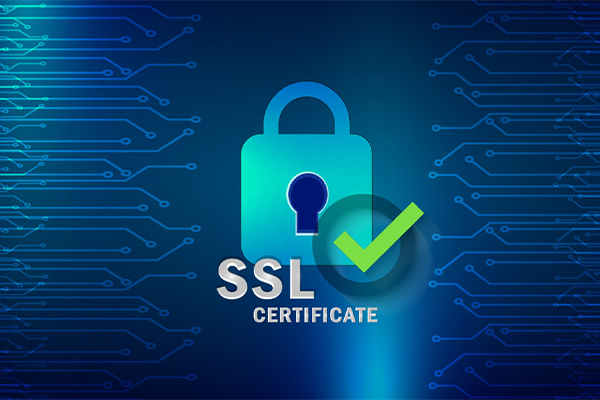 Understanding the Importance of SSL Certificates in Today’s Digital World