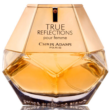 New Perfumes for Men Launched on Perfumebooth