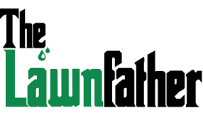 Professional Help for Dream Garden