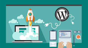 Custom WordPress services