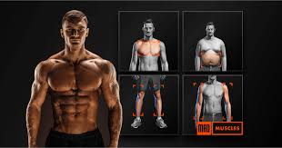 Is Mad Muscles Worth It? A Look at Real User Experiences and Ratings