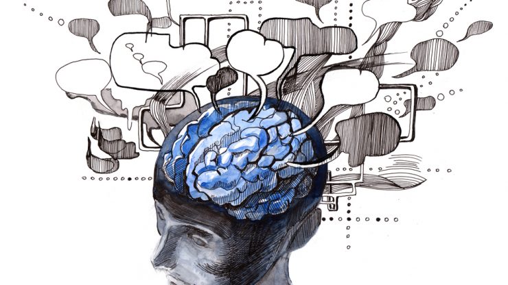 Wisepowder - Best Nutrition Supplements