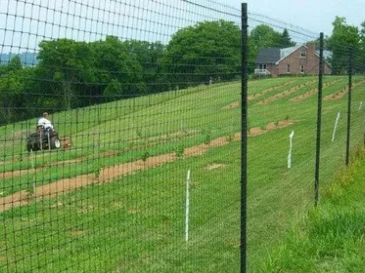 Comprehensive Guide to Deer Fencing in Fraser Valley & Lower Mainland Protect Your Property with All Best Fencing