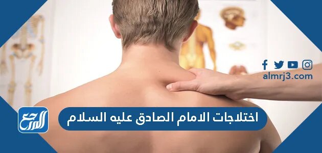 كيف يساهم موقع المرجع في نشر ثقافة الحوار الديني؟