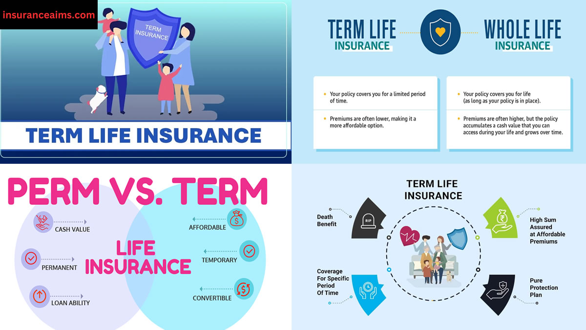 Term Life Insurance: Introduction of Term Life Insurance