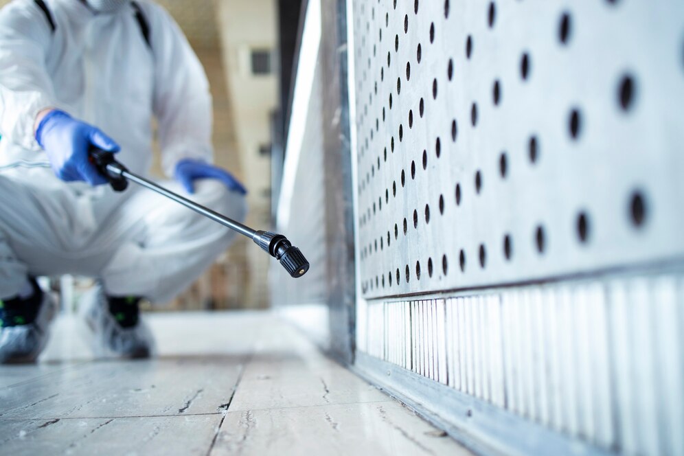 Pest-Free Living: Best Pest Control Companies in Houston Compared