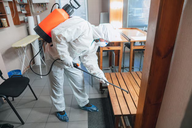 How Long Does an Exterminator Treatment Last?