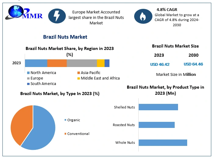 Global Brazil Nuts Market Set for Steady Growth with a Projected CAGR of 4.8% from 2023 to 2030