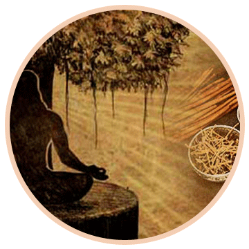 Vardhan Ayurveda : Ayurvedic Treatment For All Diseases