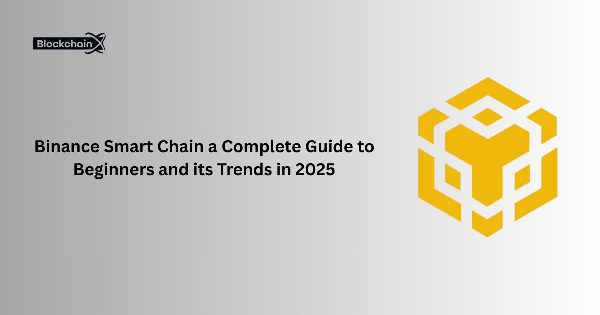 Binance Smart Chain a Complete Guide to Beginners and its Trends in 2025