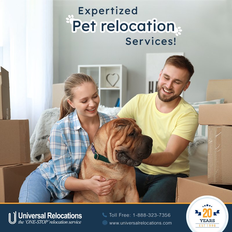 Pet Relocation