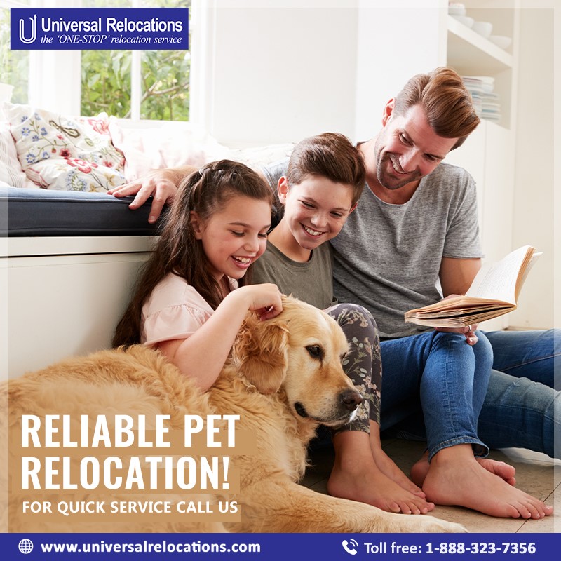 Pet Relocation to India | Pet Relocation to USA