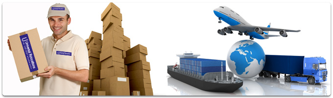 From Shore to Your Door: The Evolution of the Global Shipping Industry