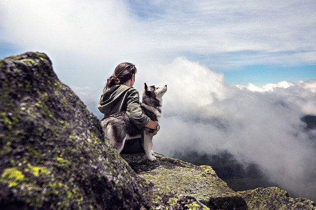 3 Health Benefits Of Owning a Dog - Cats and Dogs Rock