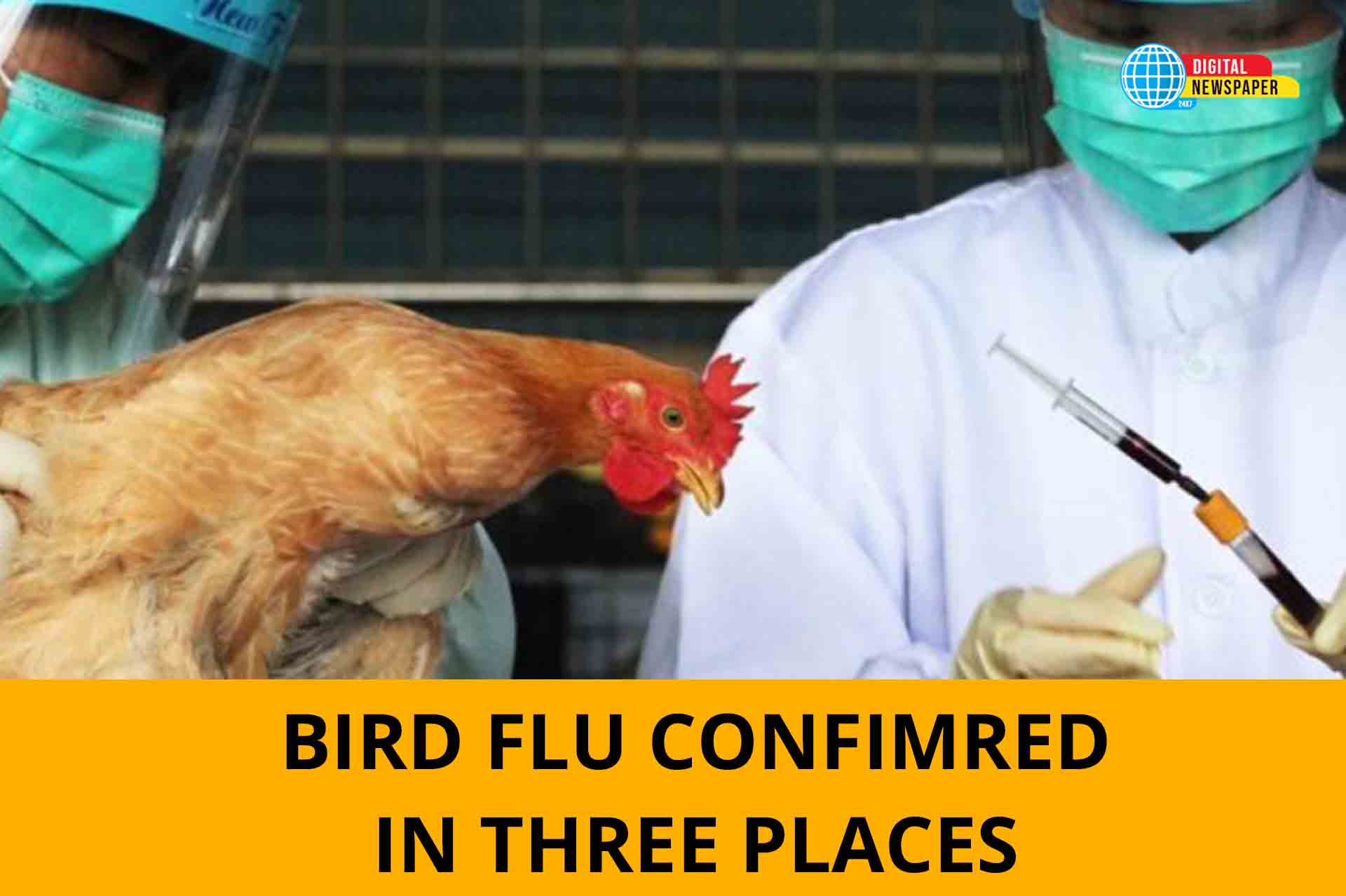As per the report bird flu was confirmed in Malappuram dist