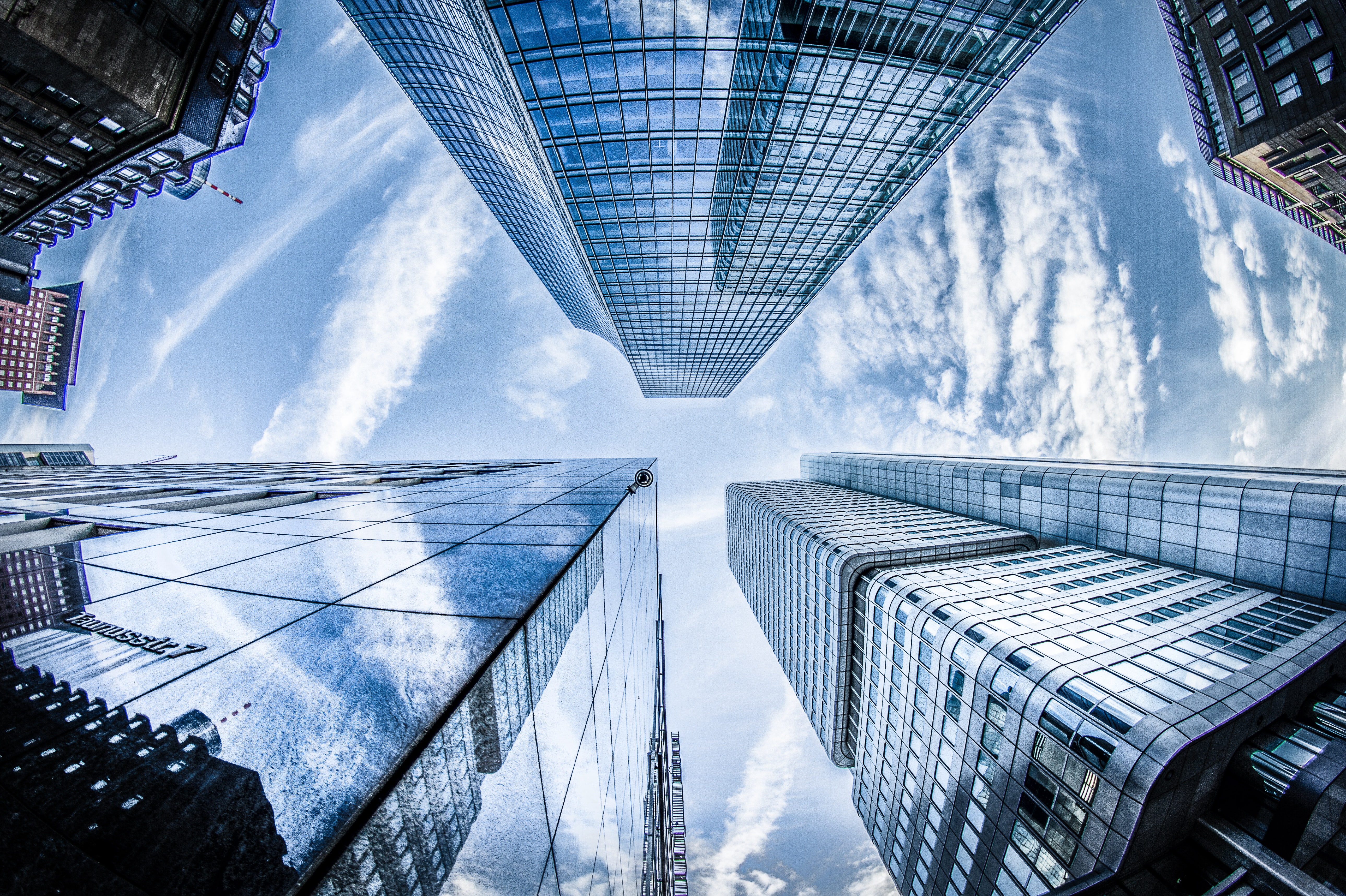 Establishing a Bilingual Startup (When You Only Speak One Language)