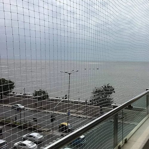 Ajit Bird Net Installation — Professional Bird Control Solutions