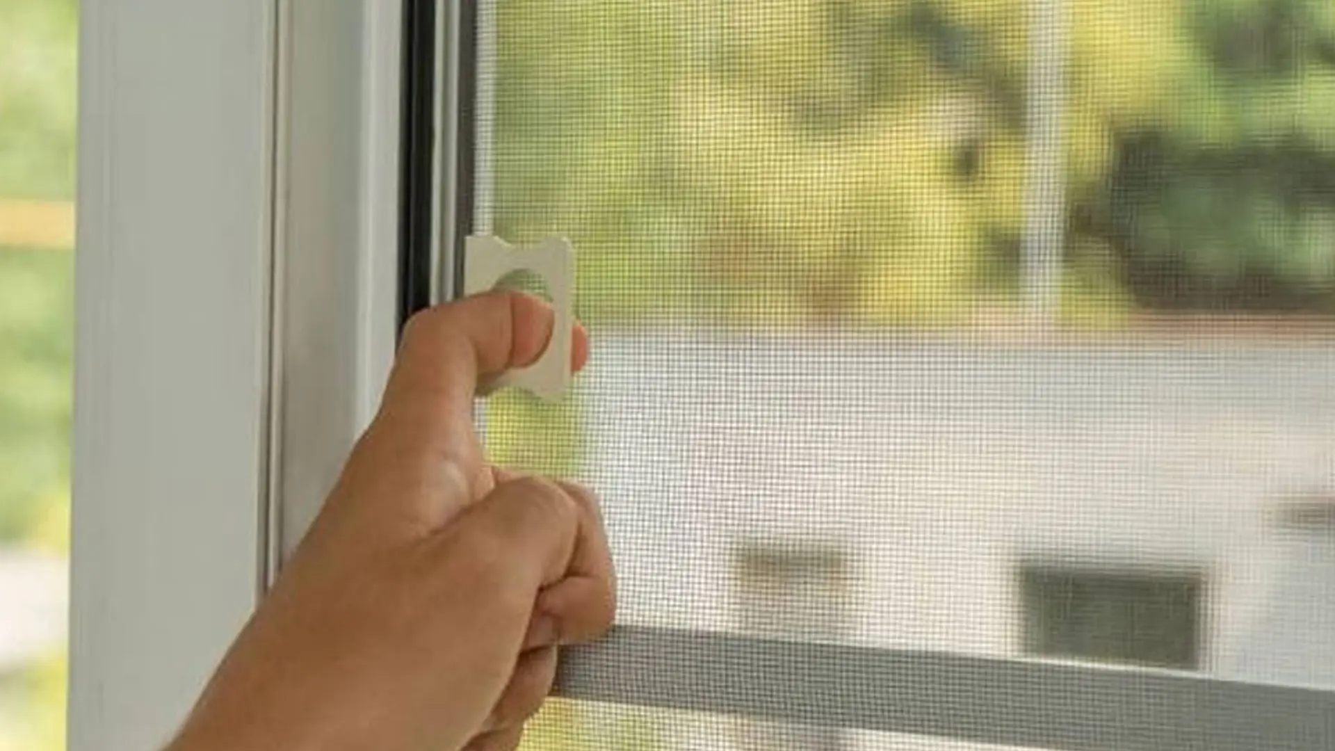 Ajit Mosquito Netting Services — Your Shield Against Unwanted Intruders