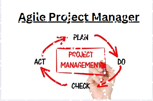What is the role Agile Project Manager?