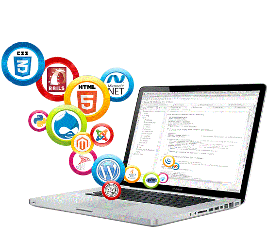 search engine optimization seo packages