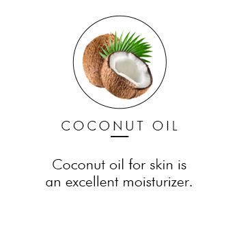 Buy Rose Lip Balm with Olive Oil Almond Oil Coconut Jojoba