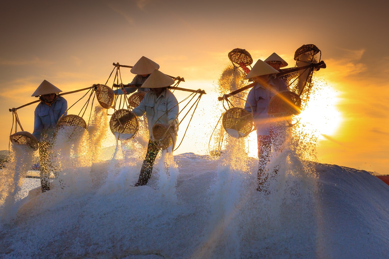   Bamboo Salt Market to Witness Significant Growth due to Increasing Health Awareness 