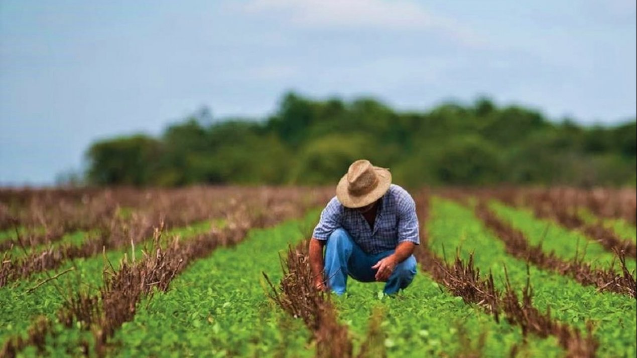 The Sustainable Future of Global Regenerative Agriculture Market is Anticipated to Witness High Growth Owing to Rising Demand for Organic Food