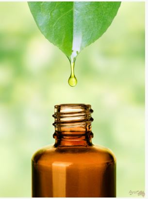 Best Ayurvedic clinic in Sydney