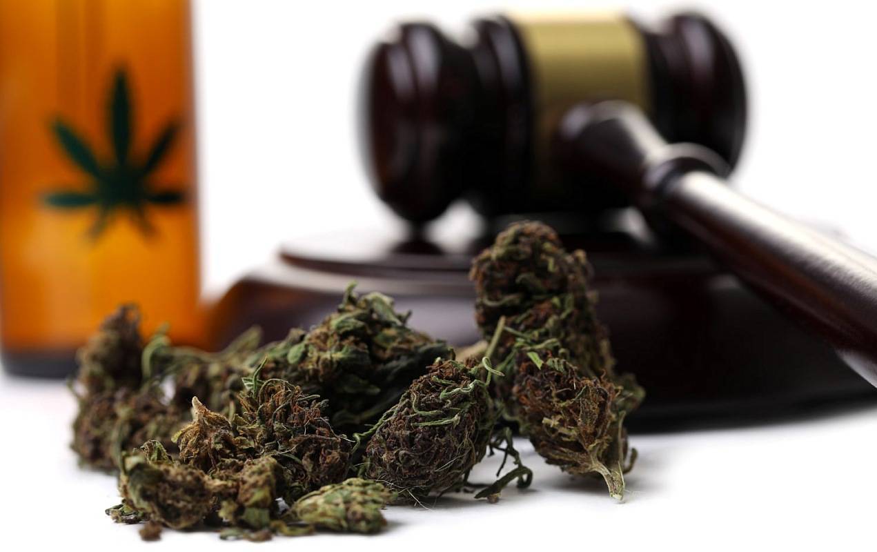 420dispcannabis buy Weed Online with affordable price