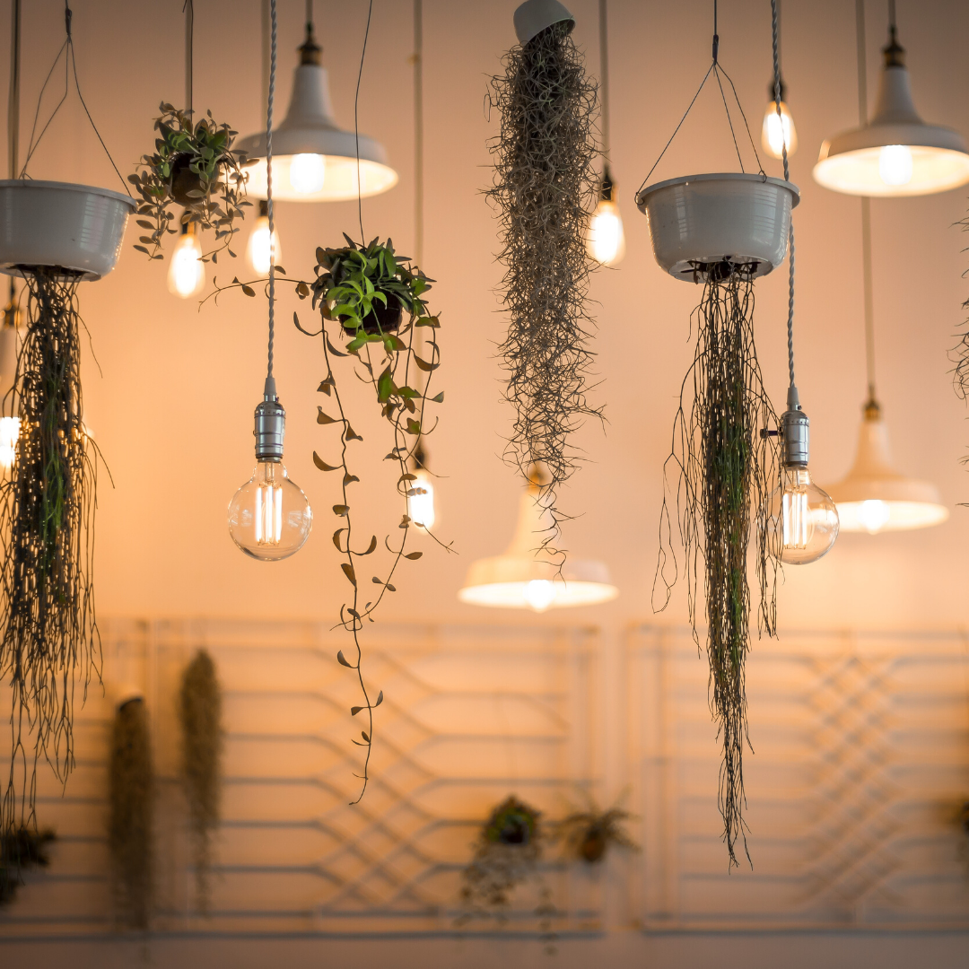 Interior Designing Service in New York