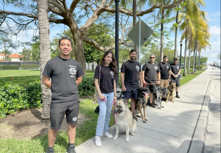 How K-9 Specialist Provides Results-Driven Dog Training for Every Breed