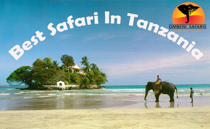 What are some fascinating facts about African rainforests?
