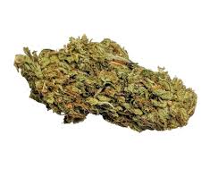 How to Choose the Right Cannabis Pre Rolls for Your Mood